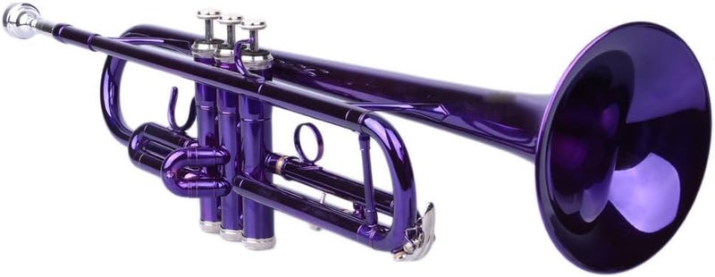 Vasitelan Brass Standard B Trumpet Instrument with Case,Gloves, for Beginner (Purple) - Image 1